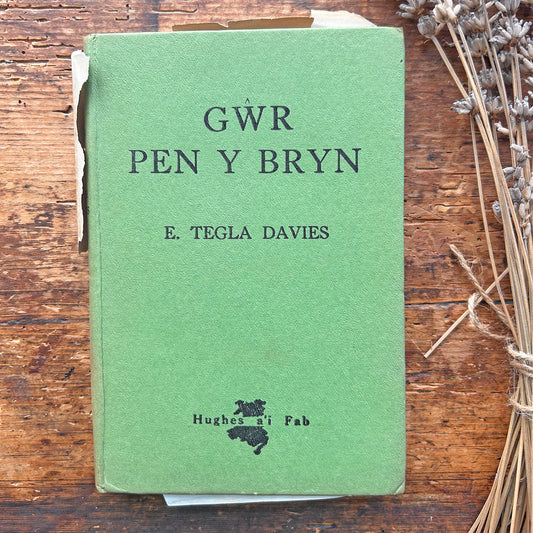 Gŵr Pen y Bryn - E. Tegla Davies - 1955 (Preloved)