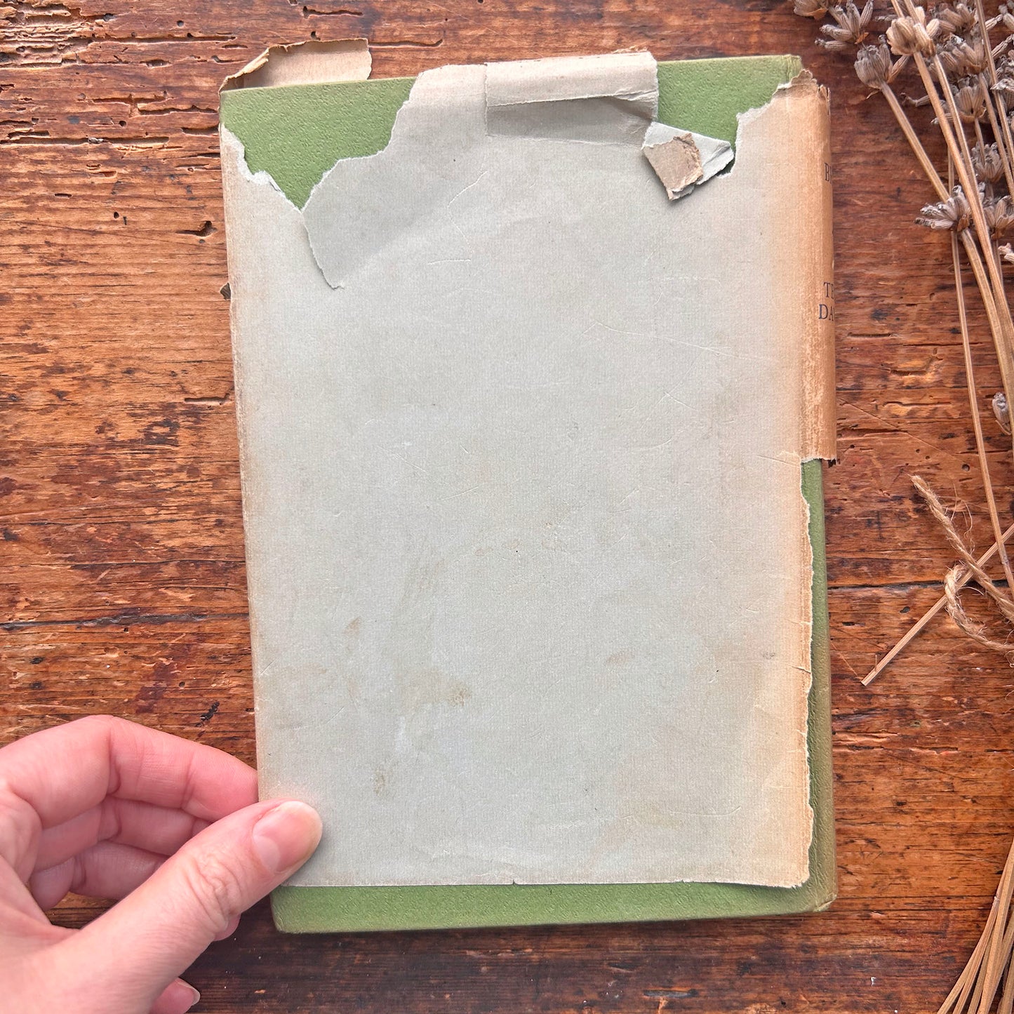 Gŵr Pen y Bryn - E. Tegla Davies - 1955 (Preloved)