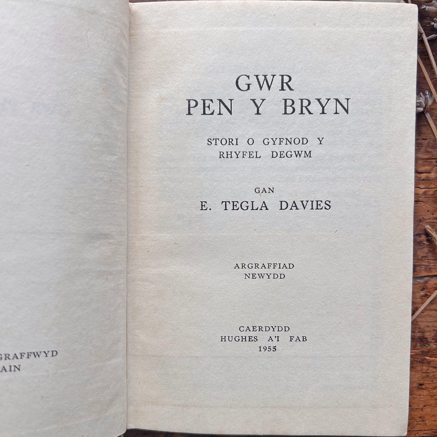 Gŵr Pen y Bryn - E. Tegla Davies - 1955 (Preloved)