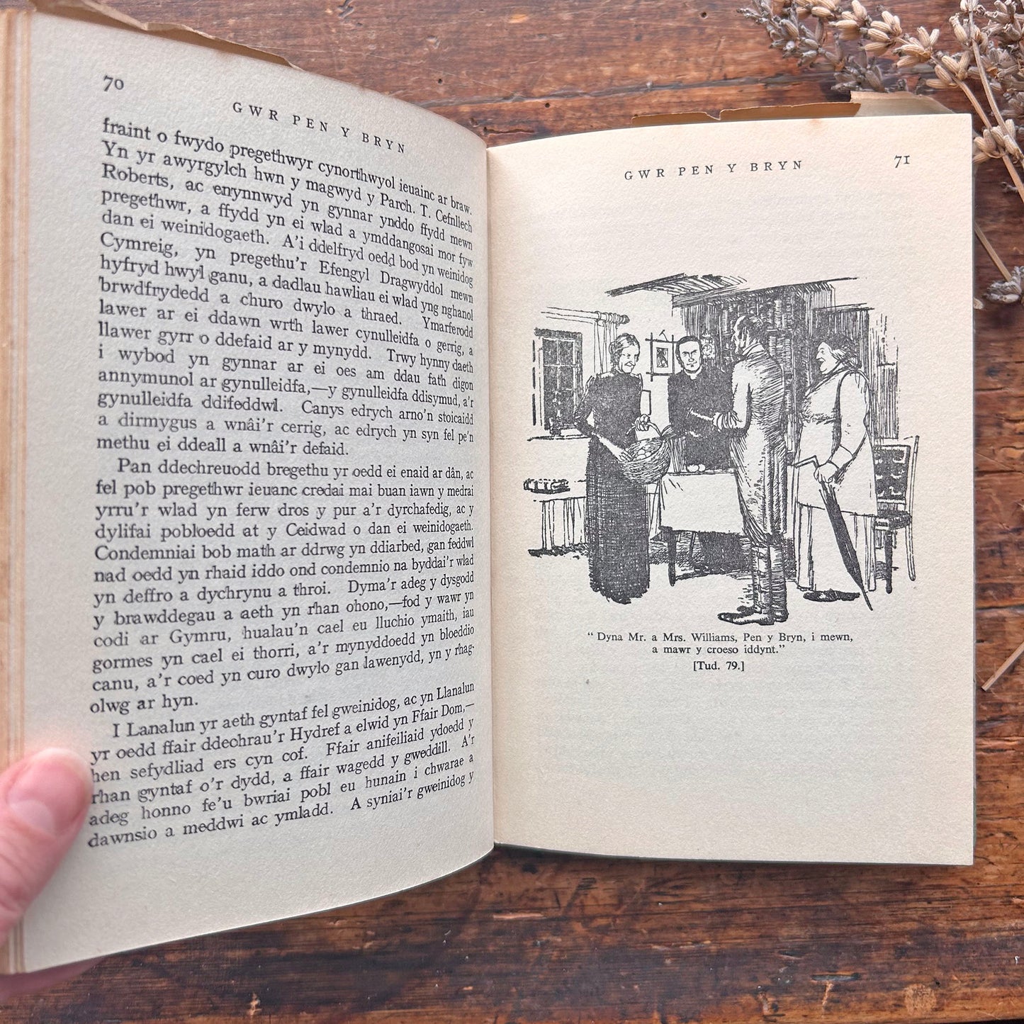 Gŵr Pen y Bryn - E. Tegla Davies - 1955 (Preloved)