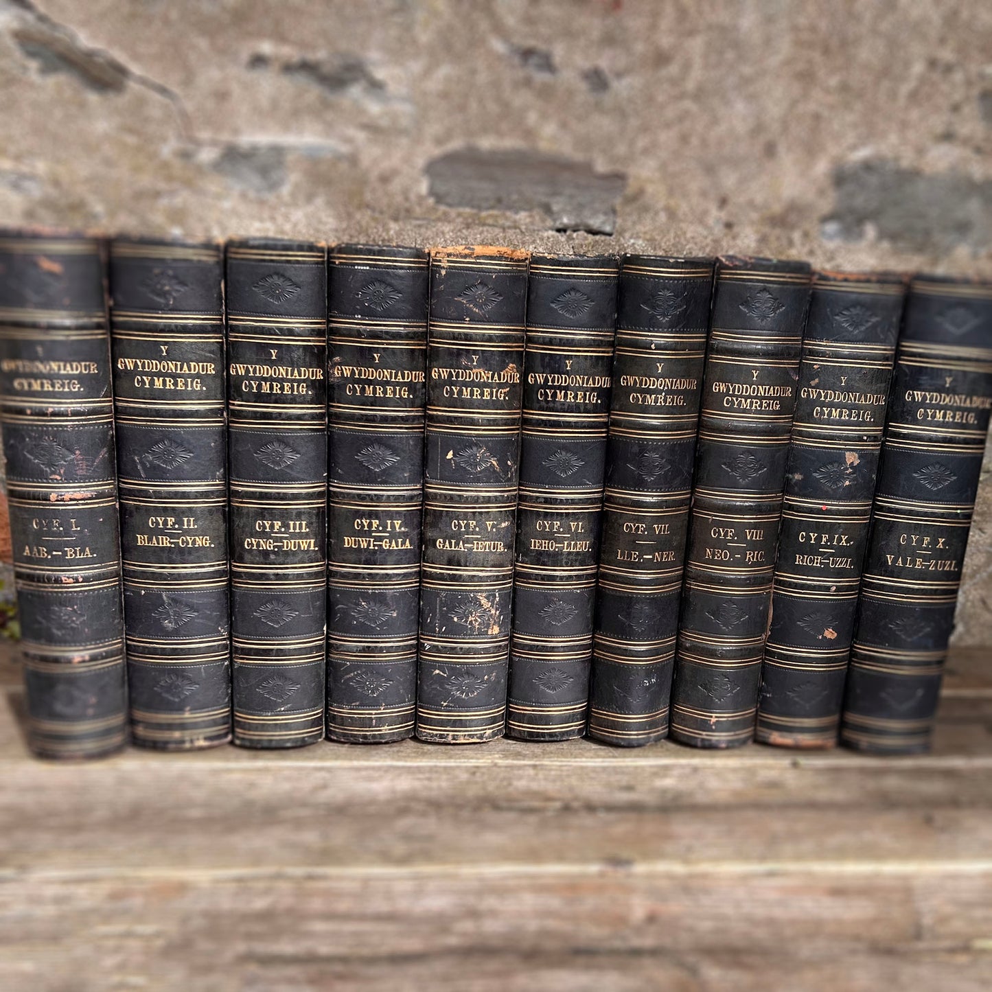 Gwyddoniadur Cymreig - Welsh Encyclopedia - Full Collection I-X - 1858 (Preloved Auction)