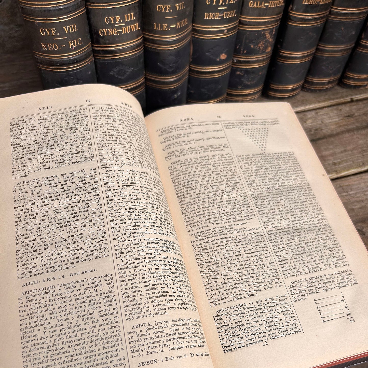 Gwyddoniadur Cymreig - Welsh Encyclopedia - Full Collection I-X - 1858 (Preloved Auction)