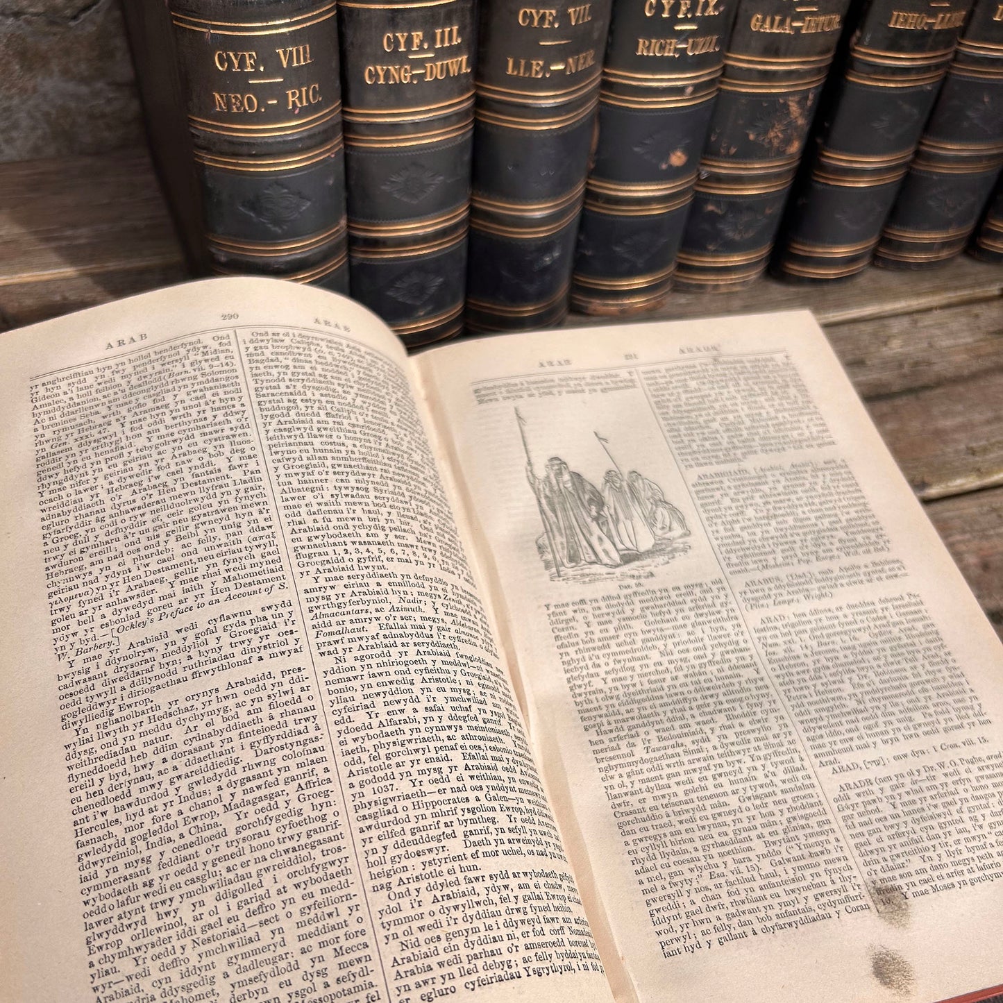 Gwyddoniadur Cymreig - Welsh Encyclopedia - Full Collection I-X - 1858 (Preloved Auction)