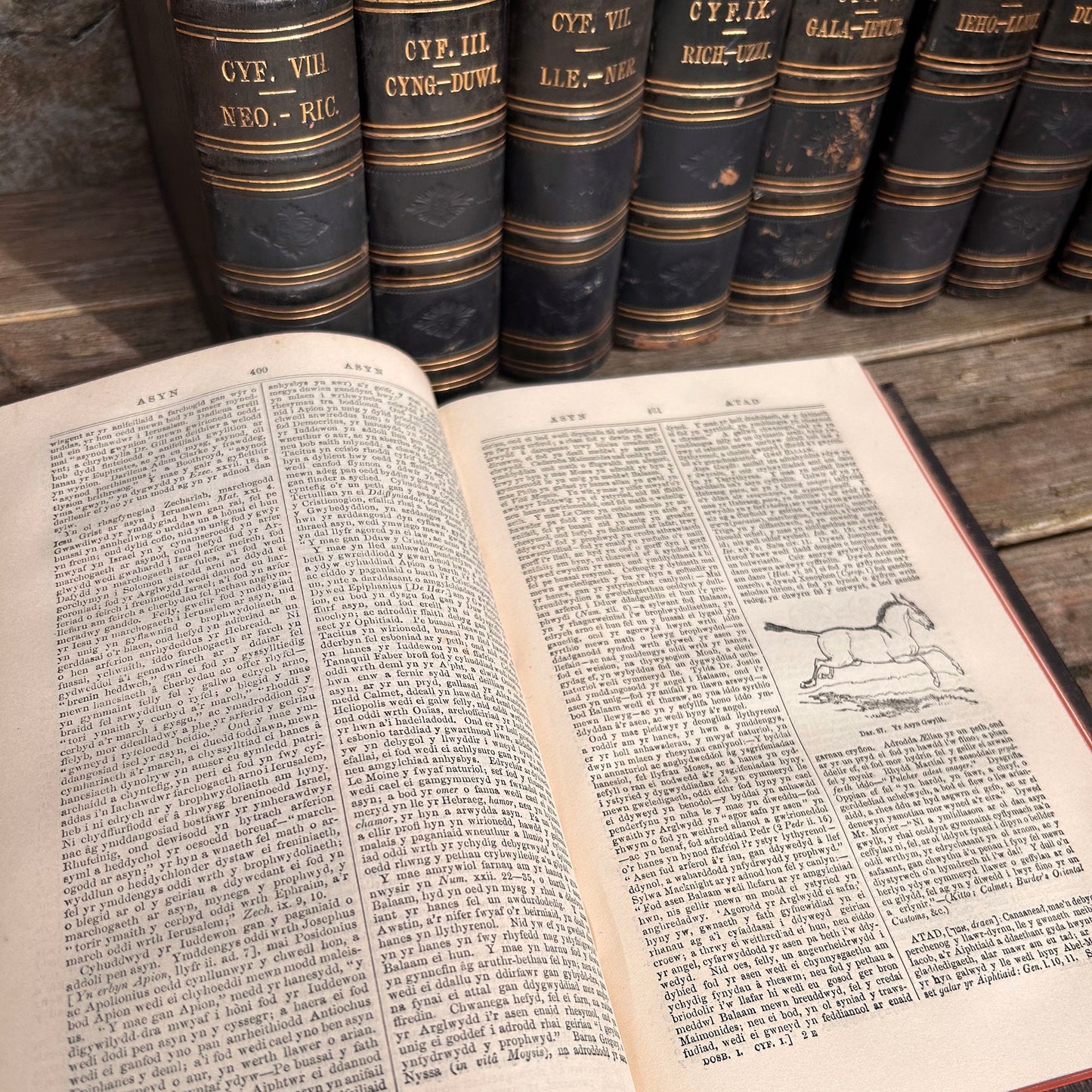 Gwyddoniadur Cymreig - Welsh Encyclopedia - Full Collection I-X - 1858 (Preloved Auction)
