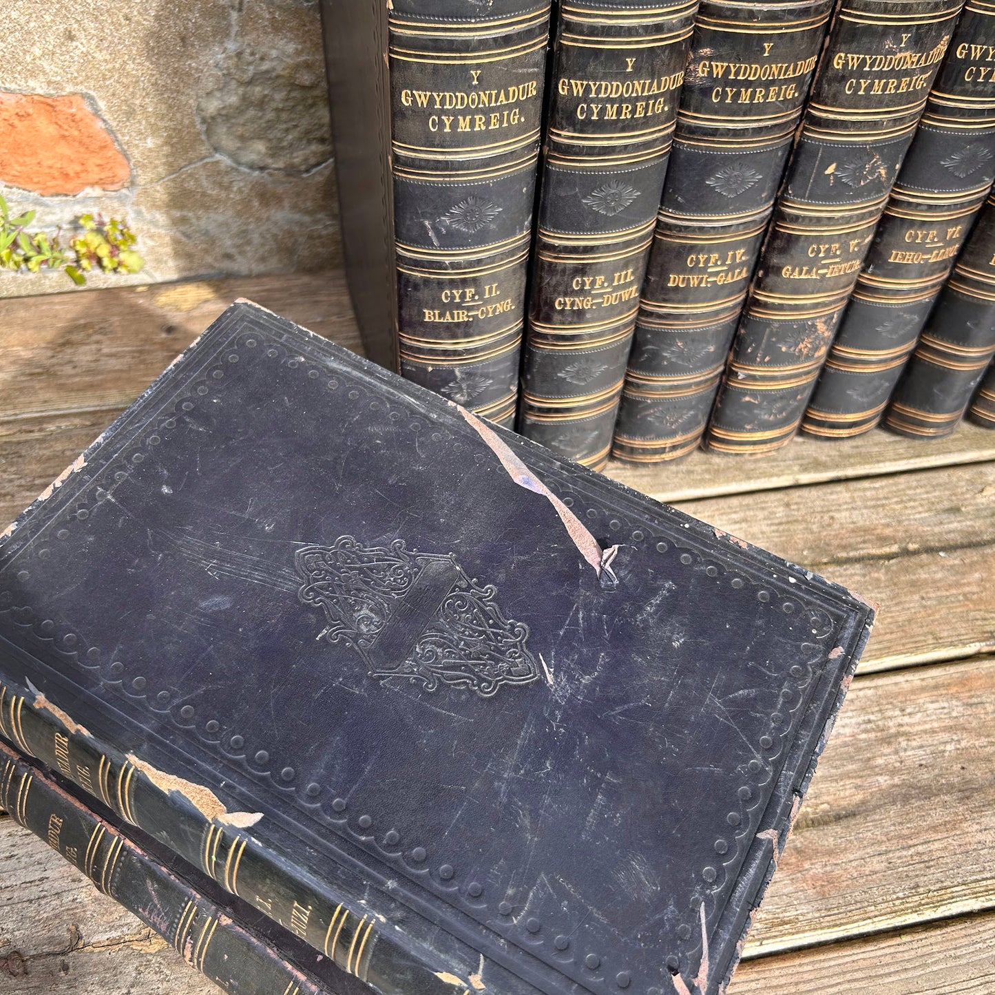 Gwyddoniadur Cymreig - Welsh Encyclopedia - Full Collection I-X - 1858 (Preloved Auction)