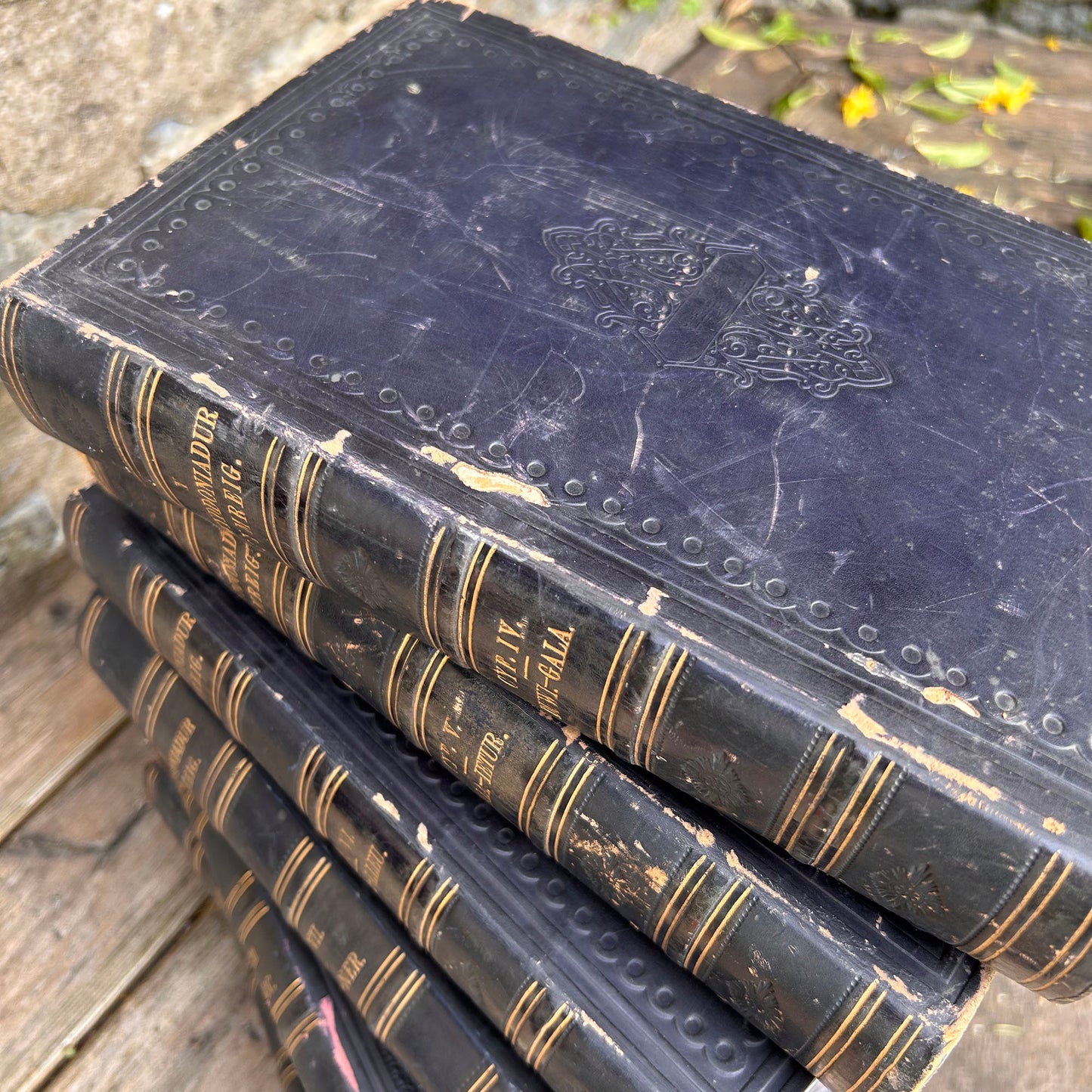 Gwyddoniadur Cymreig - Welsh Encyclopedia - Full Collection I-X - 1858 (Preloved Auction)