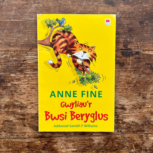 Gwyliau'r Bwsi Beryglus - Anne Fine (Preloved)
