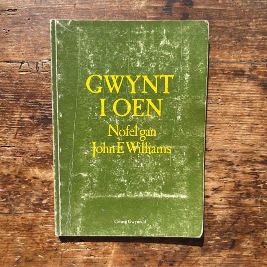 Gwynt I Oen - Nofel Gan John E. Williams - 1976 1st Edition (Preloved)