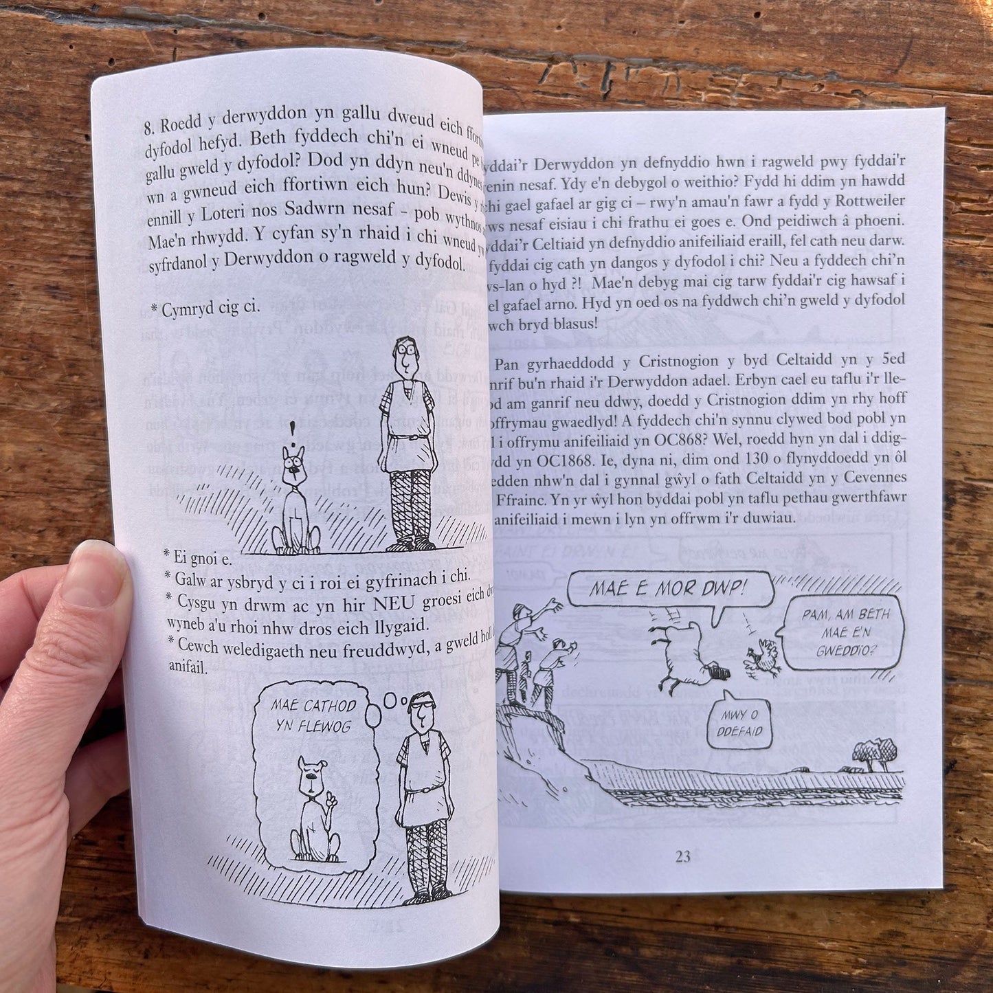 Hanesion Hyll: Y Celtiaid Cythryblus - Terry Deary - 2000 (Preloved)