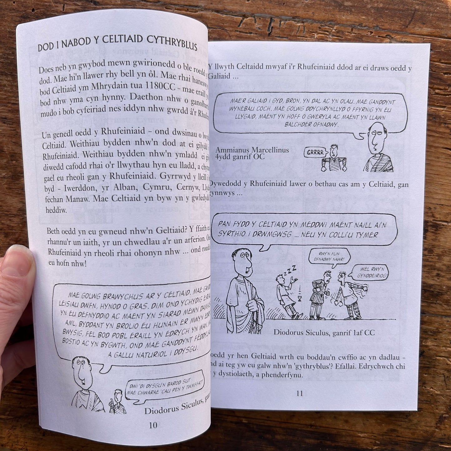 Hanesion Hyll: Y Celtiaid Cythryblus - Terry Deary - 2000 (Preloved)