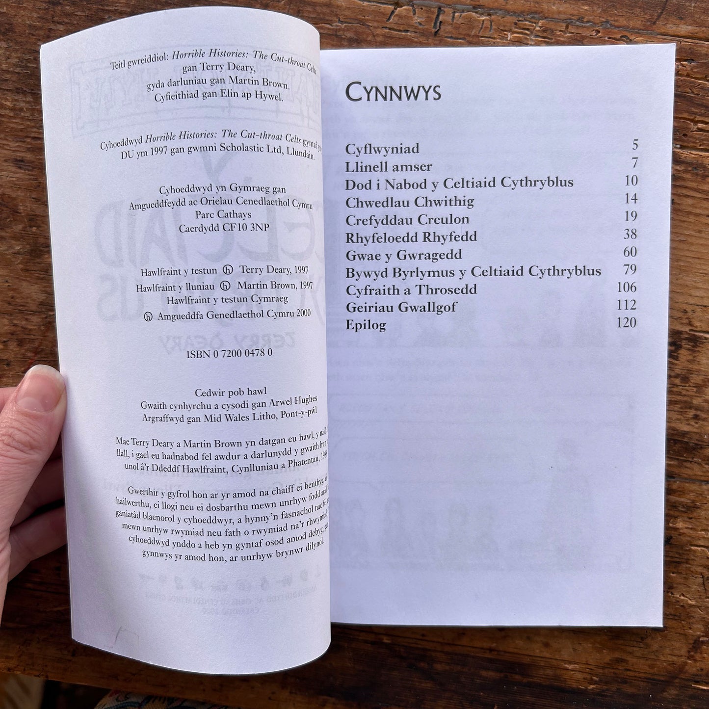 Hanesion Hyll: Y Celtiaid Cythryblus - Terry Deary - 2000 (Preloved)