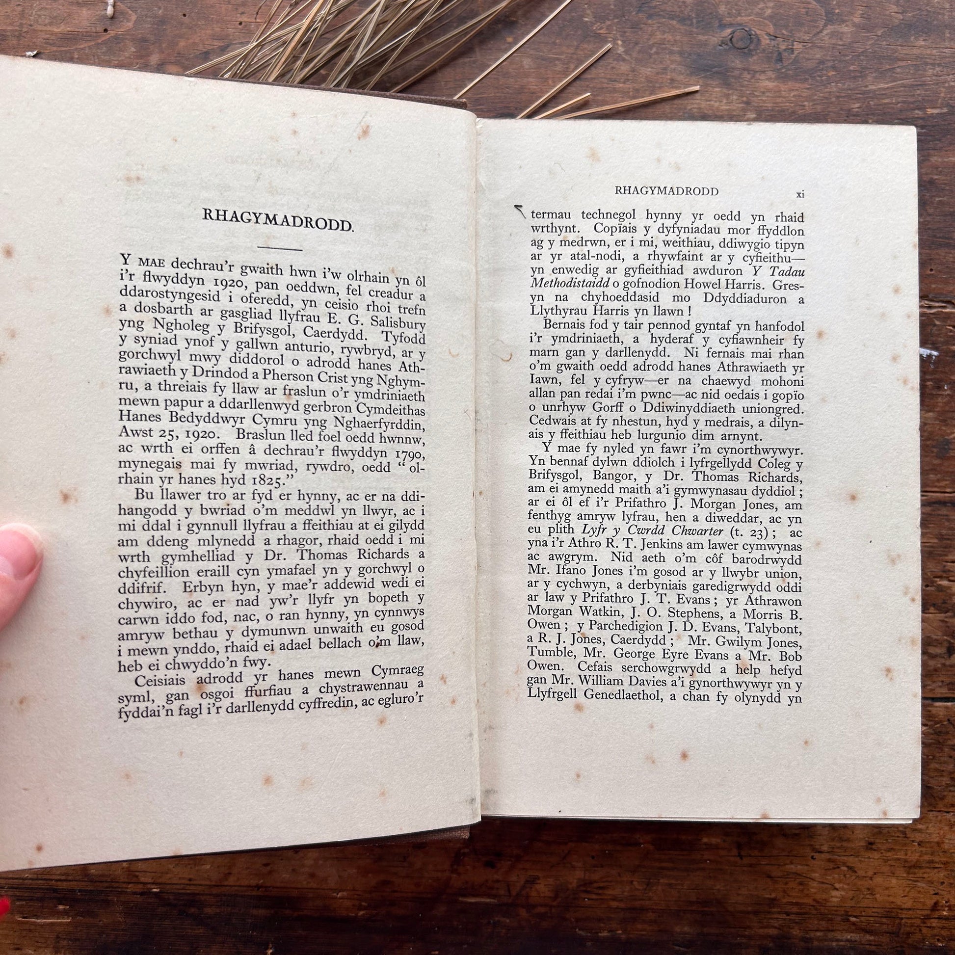 hanfod-duw-a-pherson-crist-john-gwili-jenkins-1931-