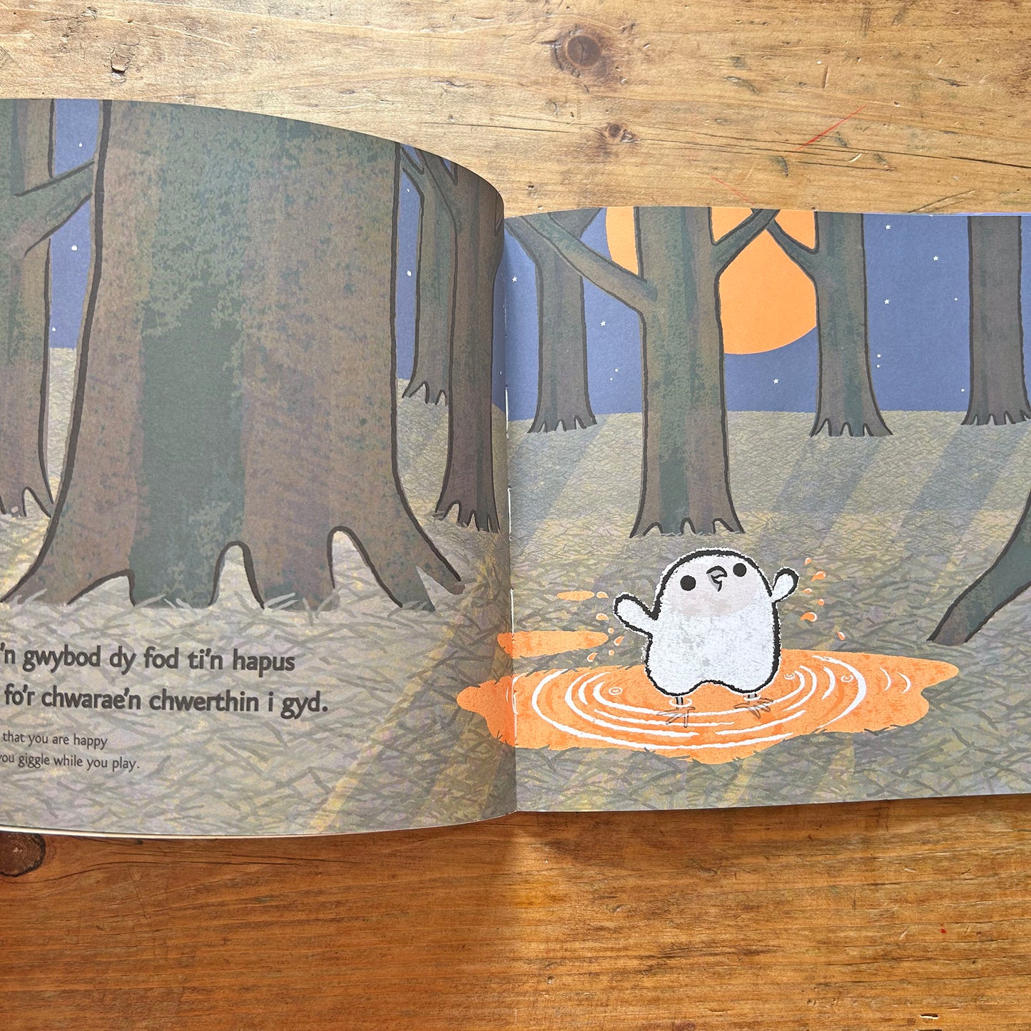 Hapus... / Happy... - Emma Dodd (Preloved)