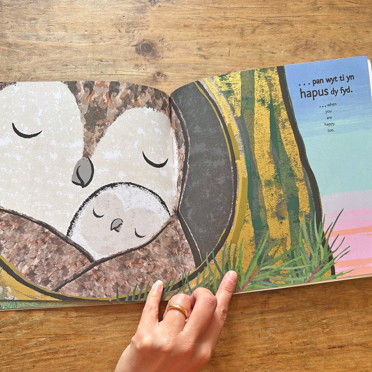 Hapus... / Happy... - Emma Dodd (Preloved)