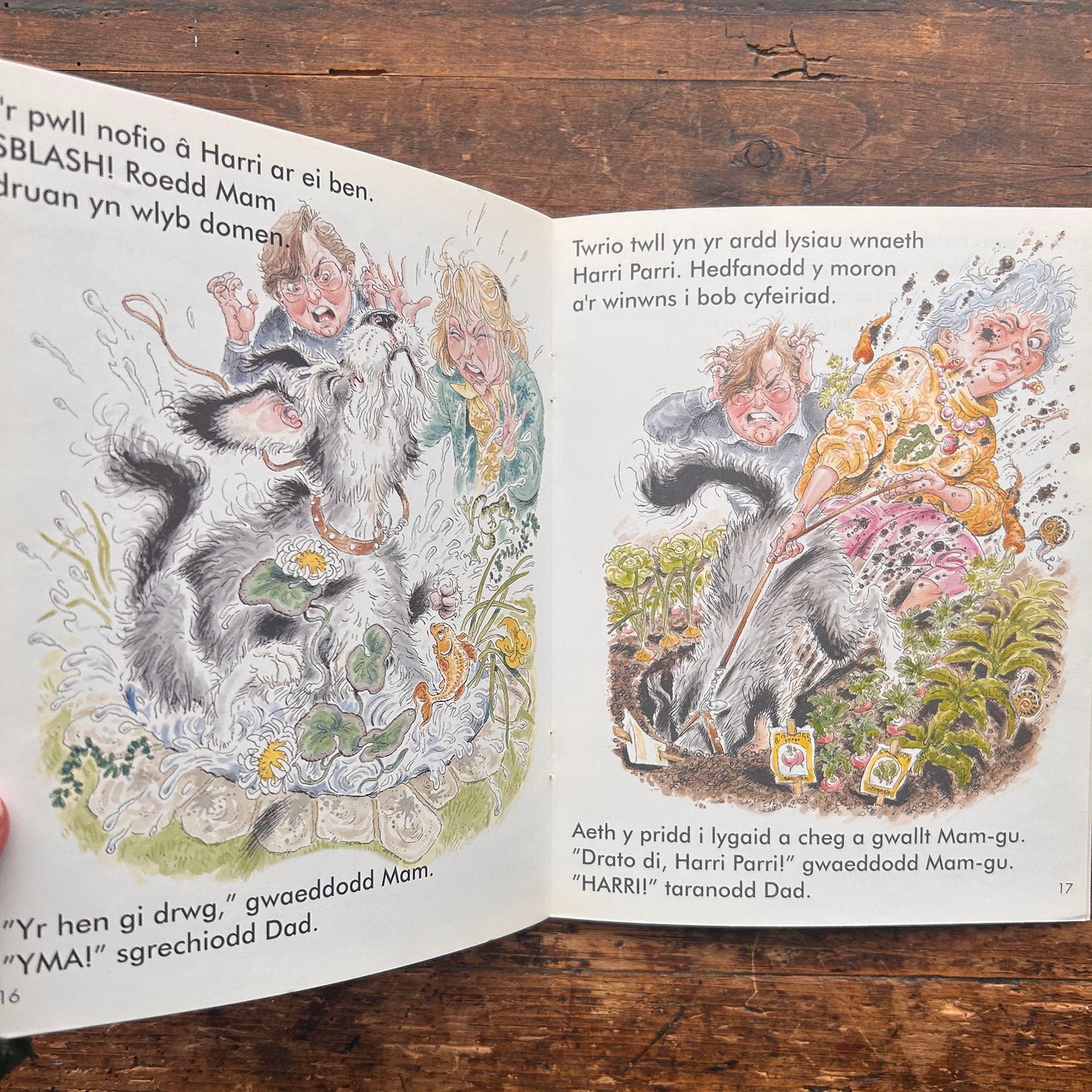 Harri Parri - Ci Gwaetha'r Byd - 1996 (Preloved)