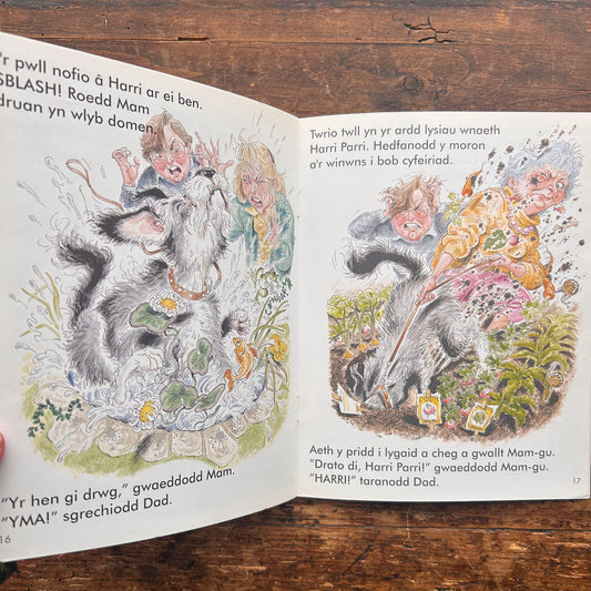 Harri Parri - Ci Gwaetha'r Byd - 1996 (Preloved)