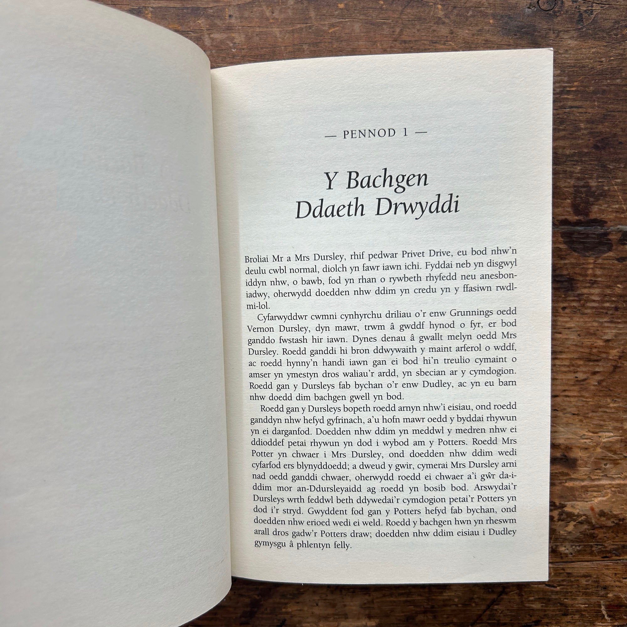 Harri Potter a Maen yr Athronydd - Harry Potter and the