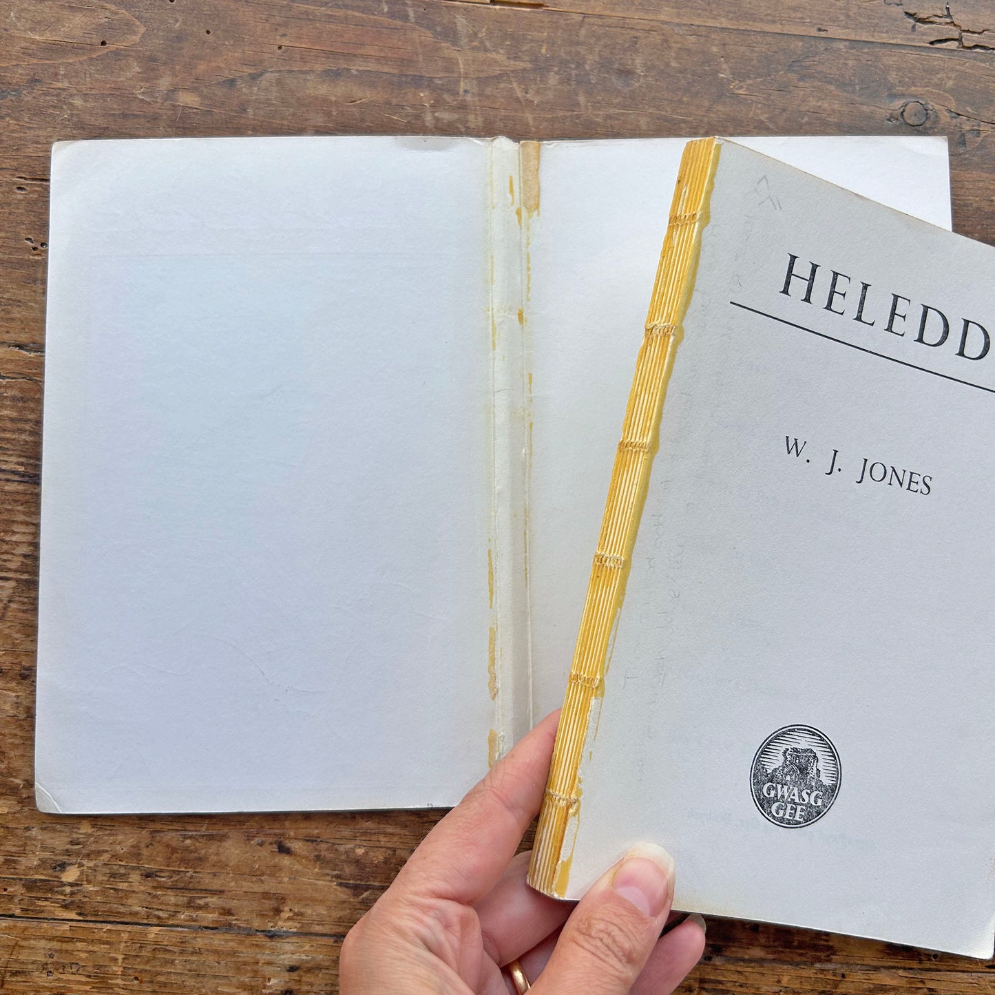 Heledd - W. J. Jones - Rare 1973 (Preloved)