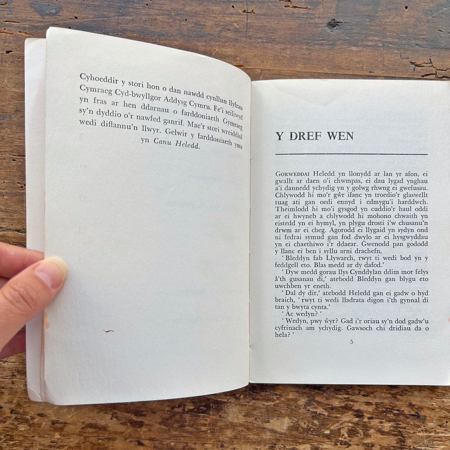 Heledd - W. J. Jones - Rare 1973 (Preloved)