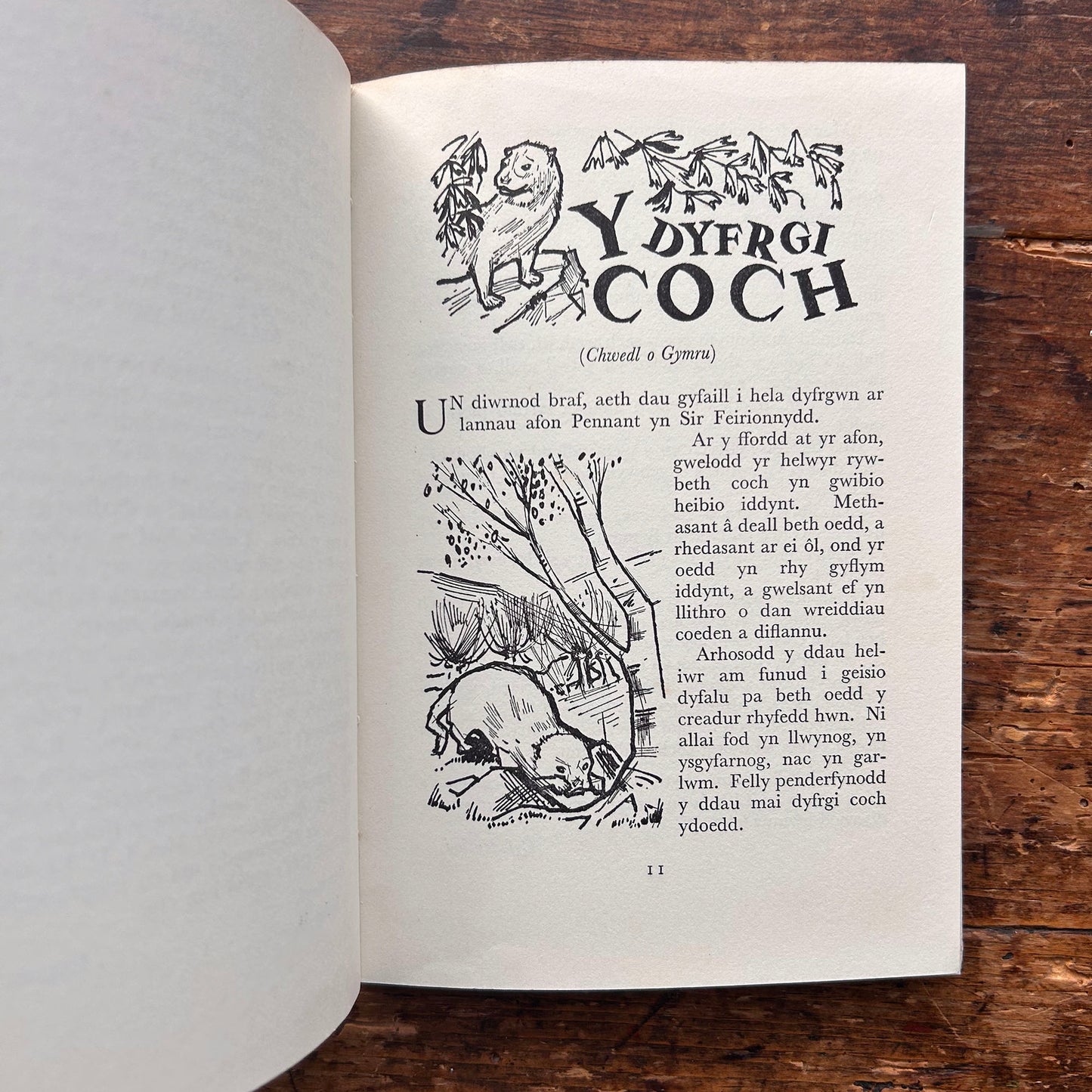 Nedw - E. Tegla Davies - Byrddau Glas - 1922 (Wedi'i ail-law)