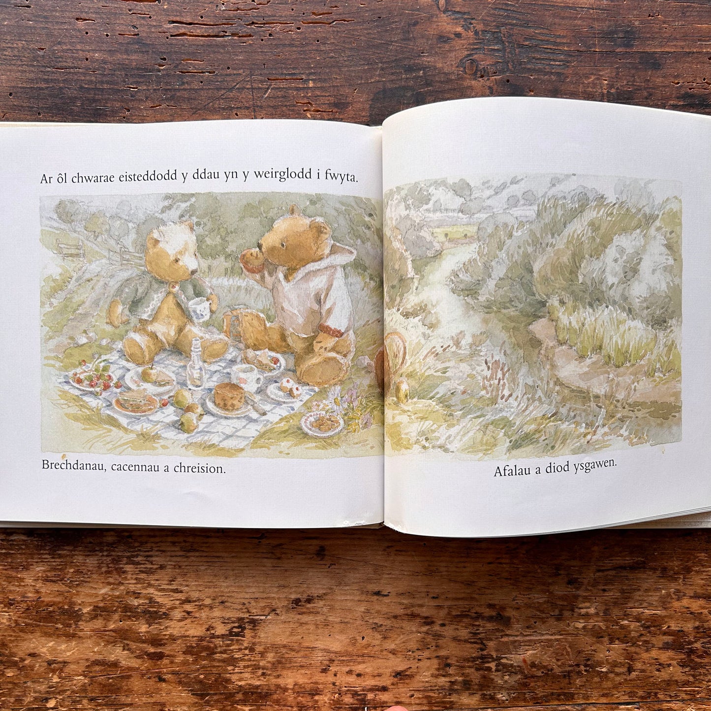 Helyg ar yr Afon - Camilla Ashford (Preloved)