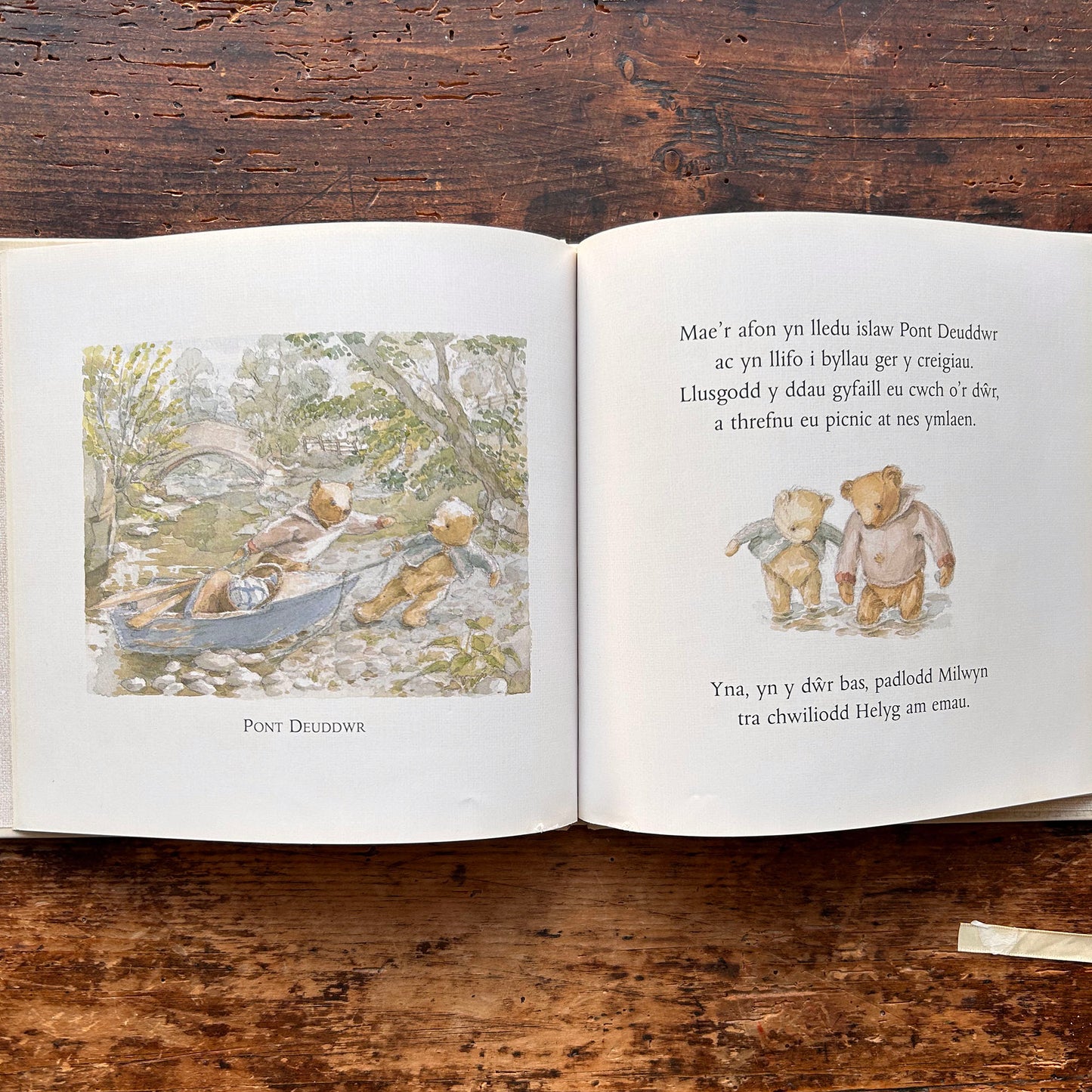 Helyg ar yr Afon - Camilla Ashford (Preloved)