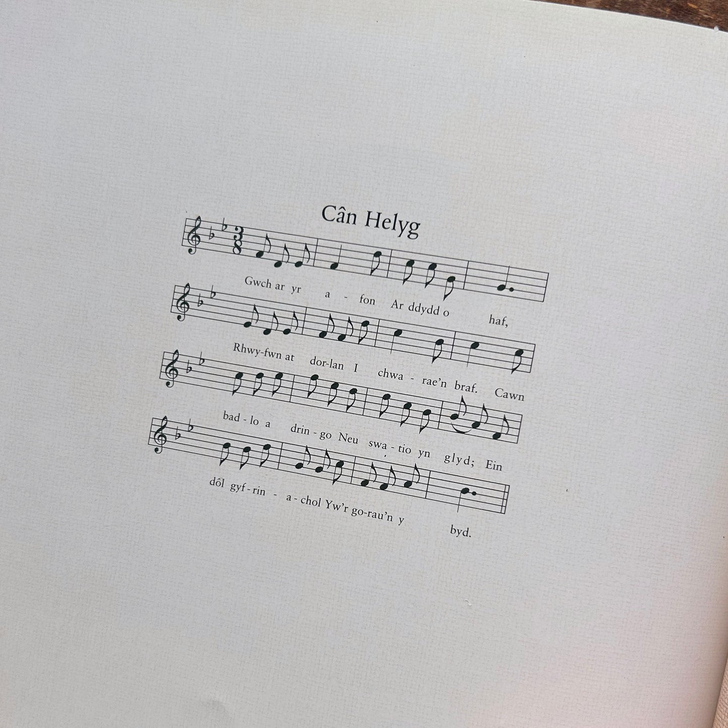 Helyg ar yr Afon - Camilla Ashford (Preloved)