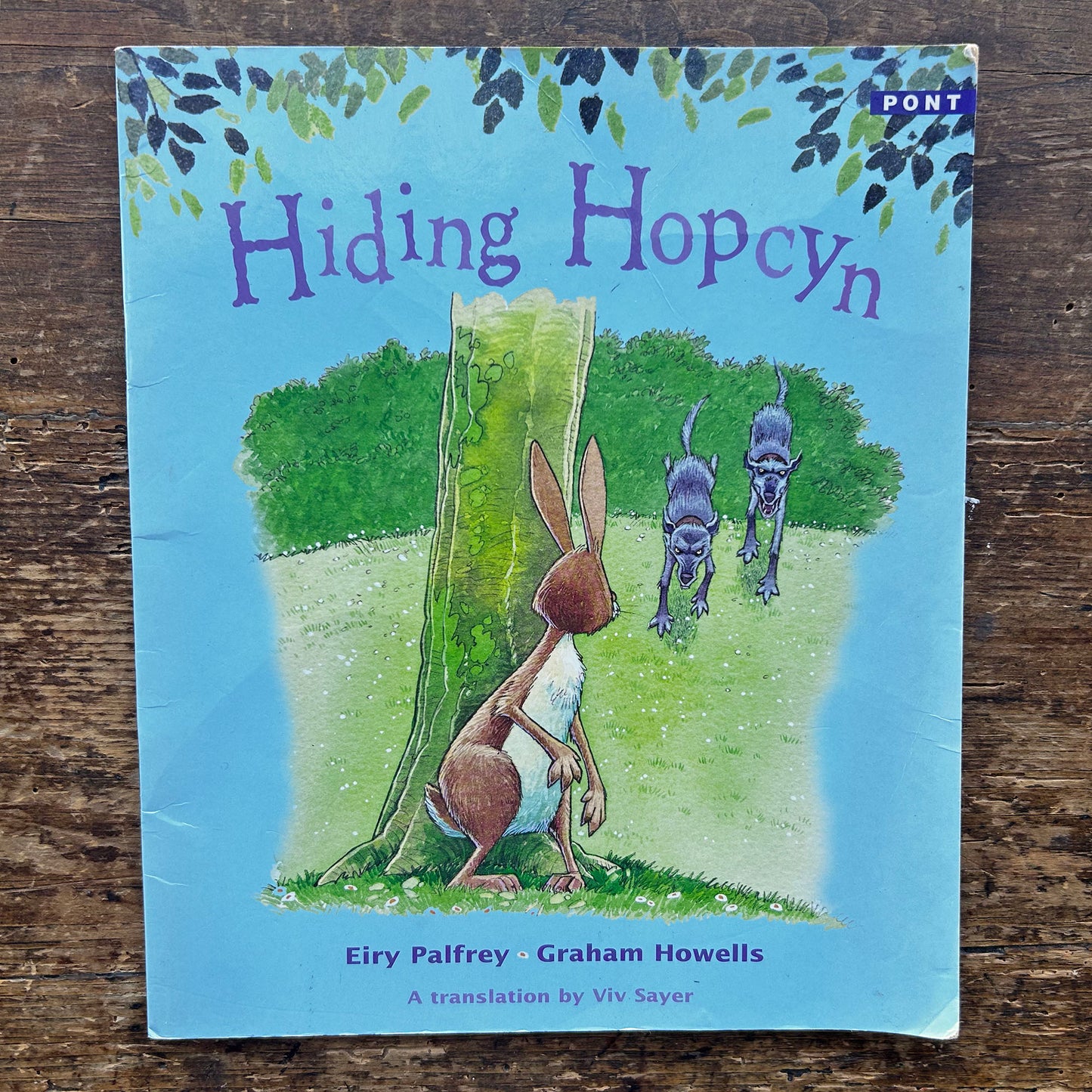 Hiding Hopcyn - Legend from mid-Wales - Eiry Palfrey (Preloved)