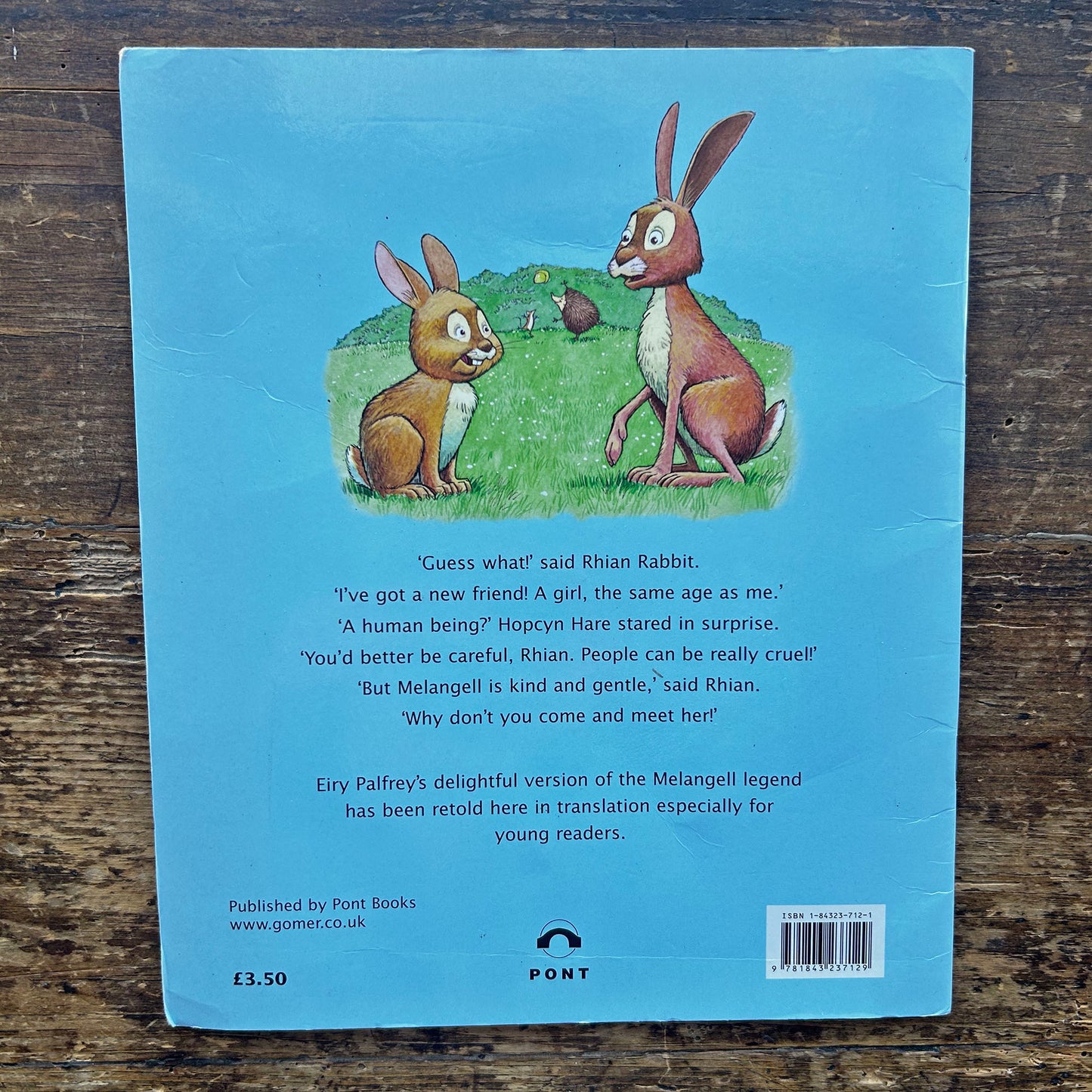 Hiding Hopcyn - Legend from mid-Wales - Eiry Palfrey (Preloved)