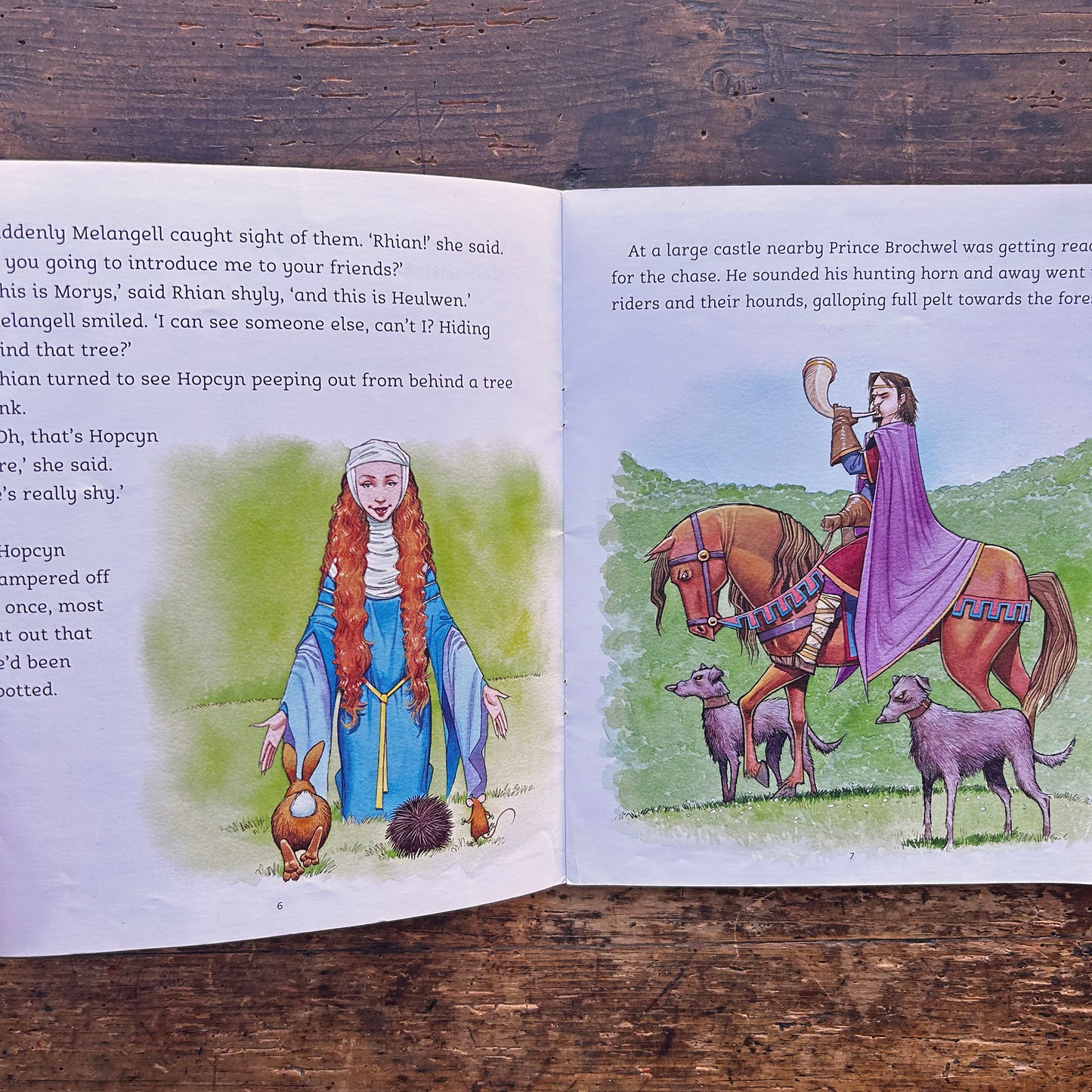 Hiding Hopcyn - Legend from mid-Wales - Eiry Palfrey (Preloved)