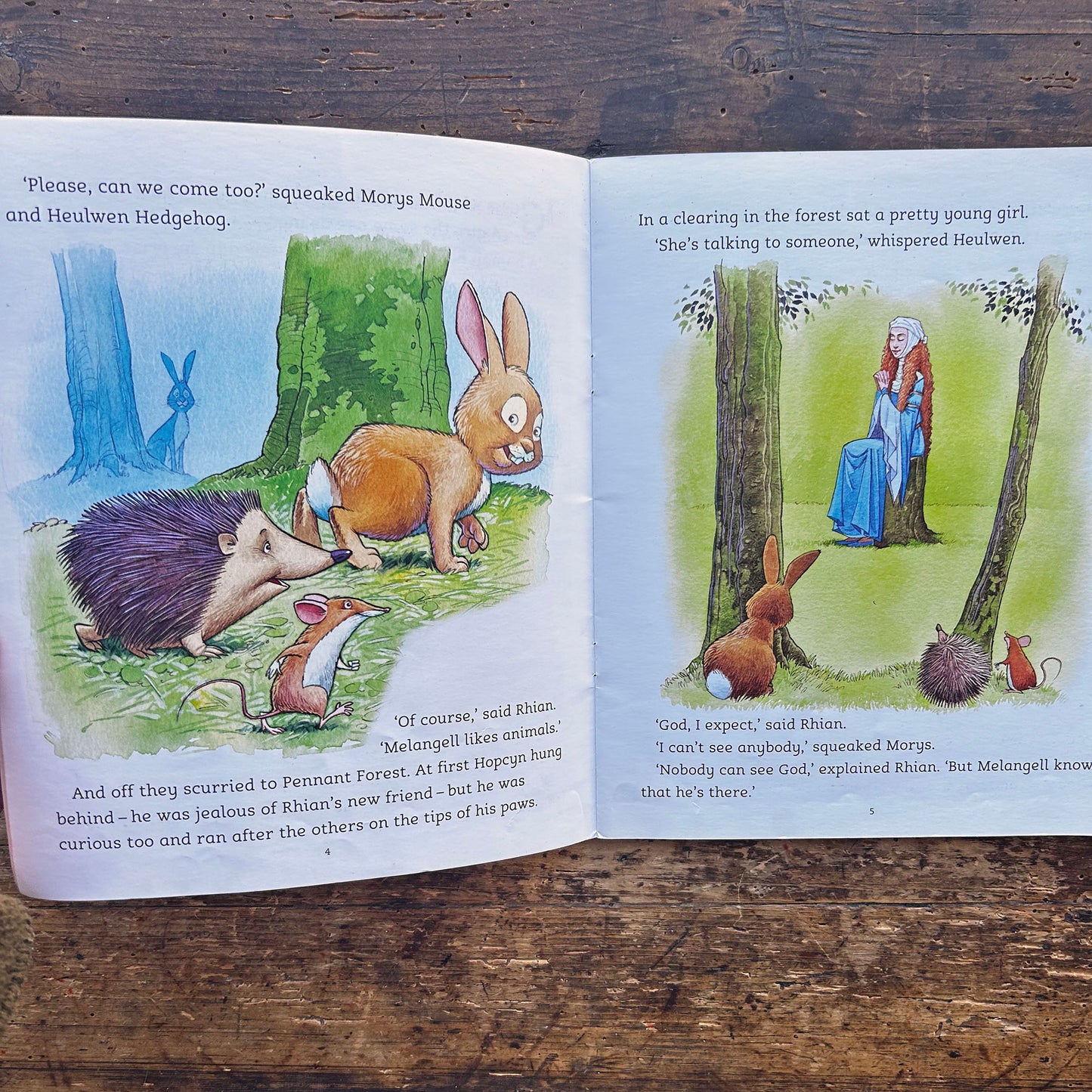 Hiding Hopcyn - Legend from mid-Wales - Eiry Palfrey (Preloved)