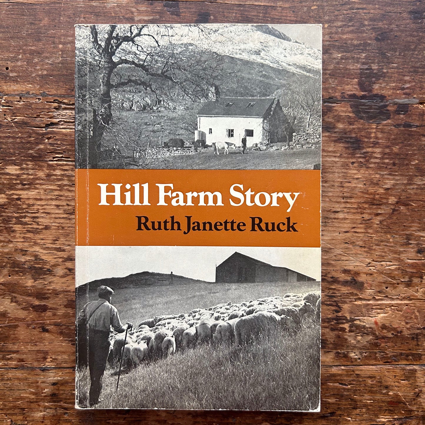 Hill Farm Story - Ruth Janette Ruck 1966 1st ed. (Preloved)
