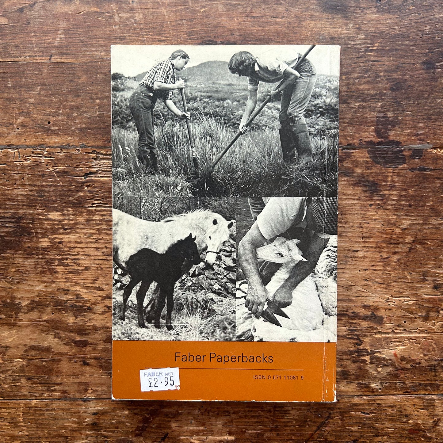 Hill Farm Story - Ruth Janette Ruck 1966 1st ed. (Preloved)