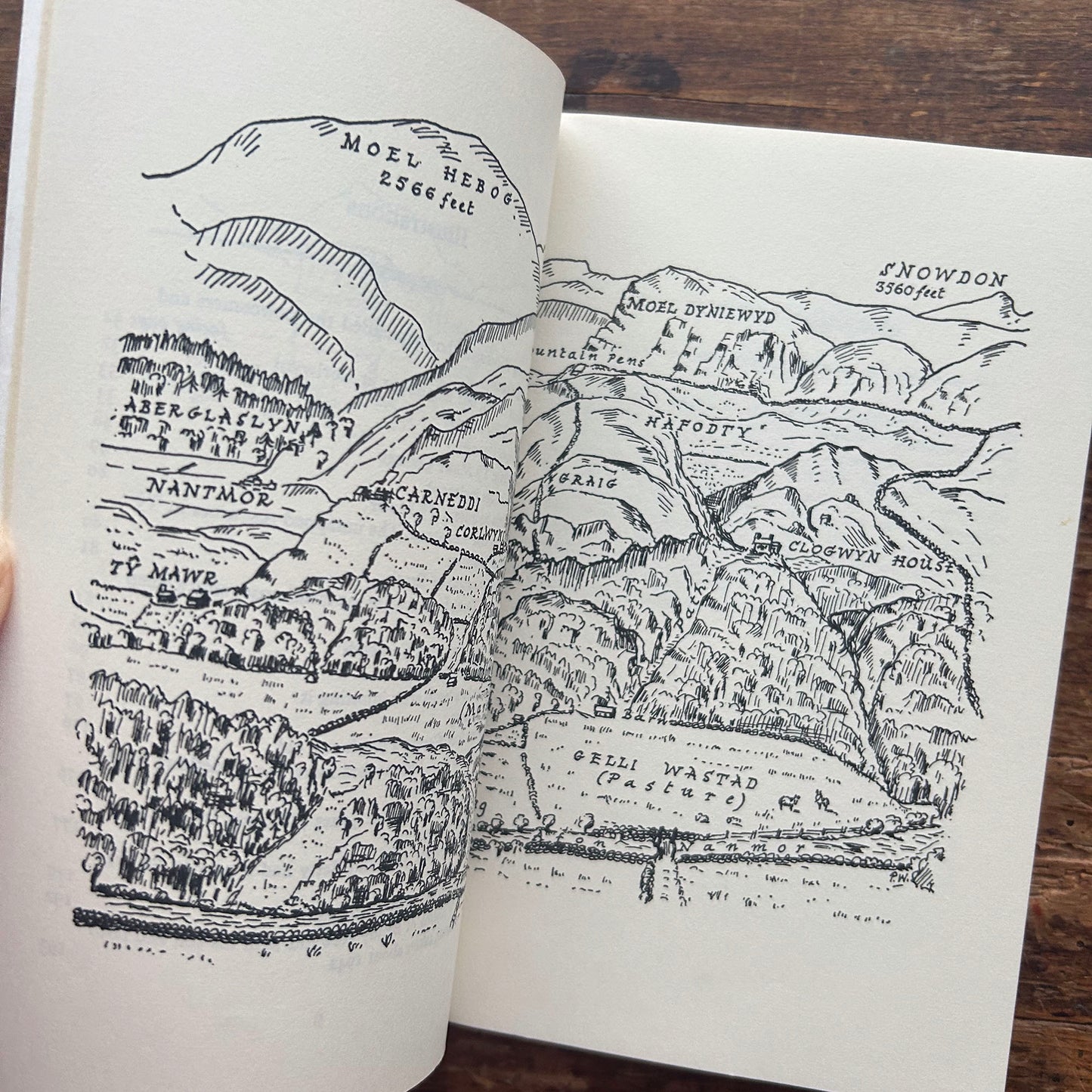 Hill Farm Story - Ruth Janette Ruck 1966 1st ed. (Preloved)