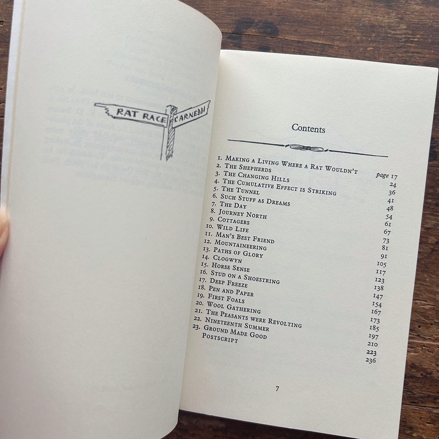 Hill Farm Story - Ruth Janette Ruck 1966 1st ed. (Preloved)