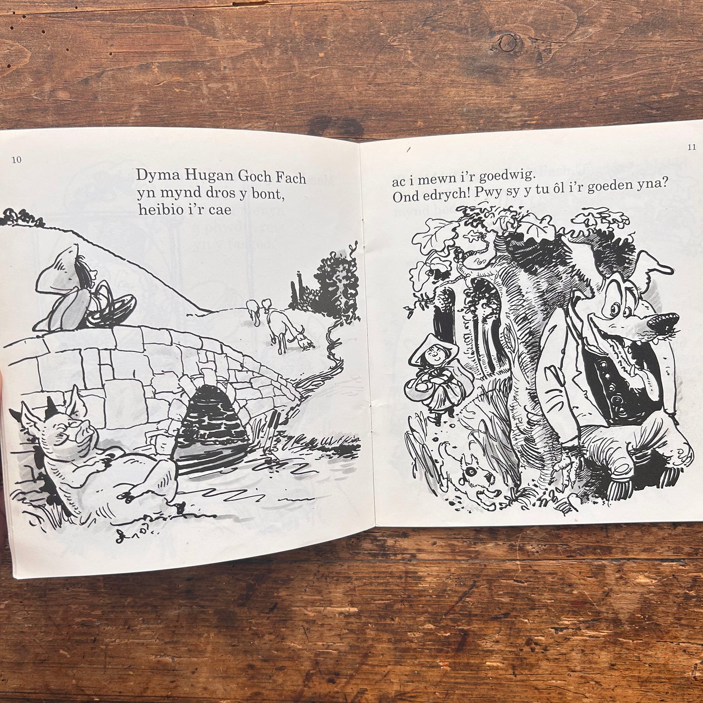 Hugan Goch Fach - Storiau'r Sosban Fawr 3 - 1995 (Preloved)