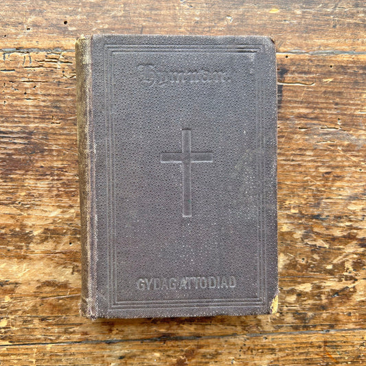 Hymnau - Gwasanaeth yr Eglwys yn Nghymru - Antique Welsh Hymn Book 1899 (Preloved)