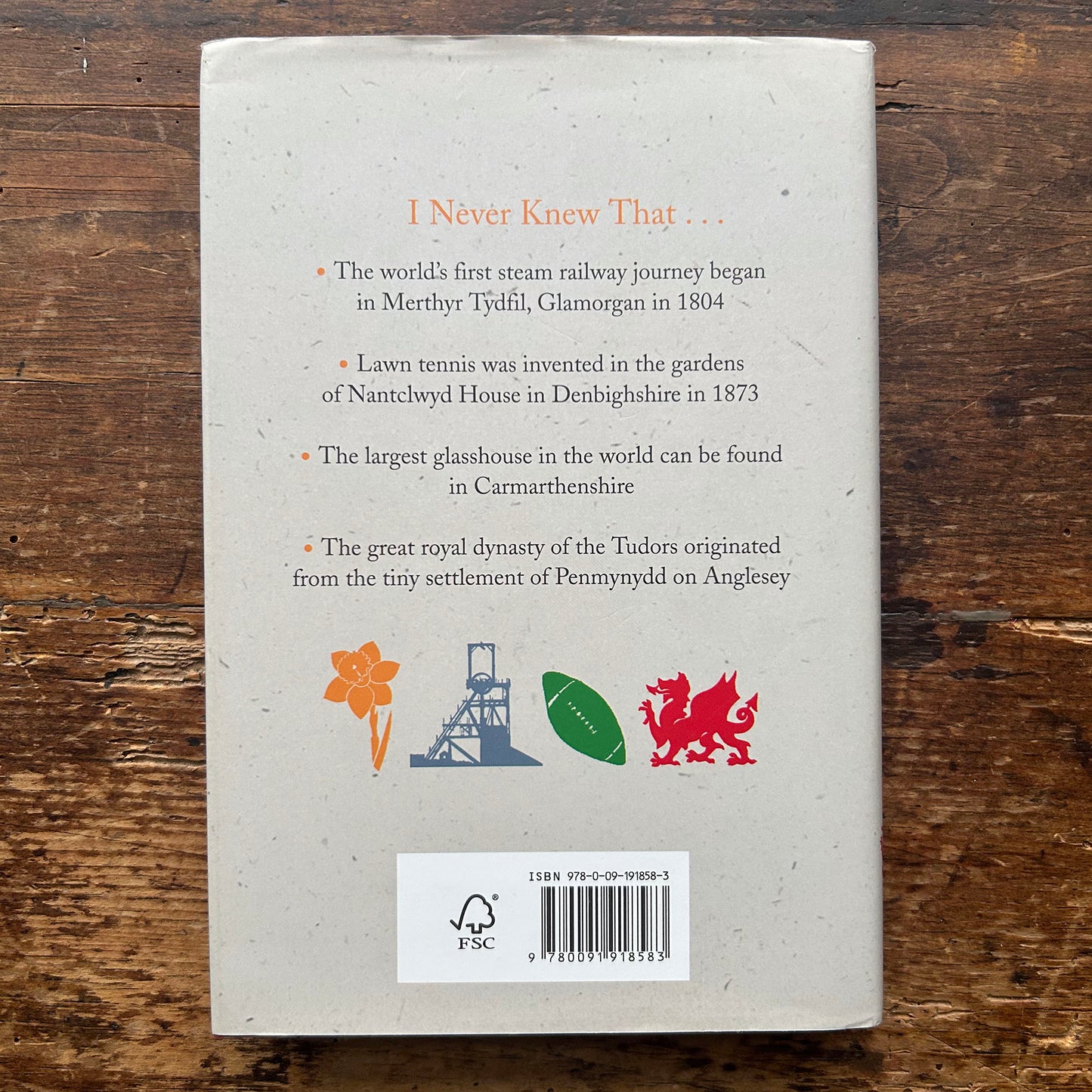 Wyddwn i Erioed Am Gymru - Christopher Winn