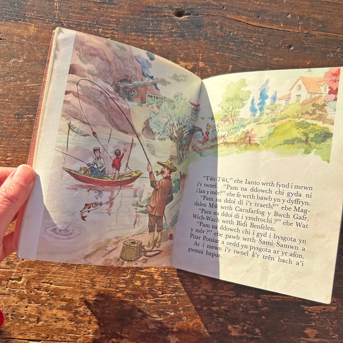 Ianto - Y Tren Twt Twt - Vintage Welsh Book (Preloved)