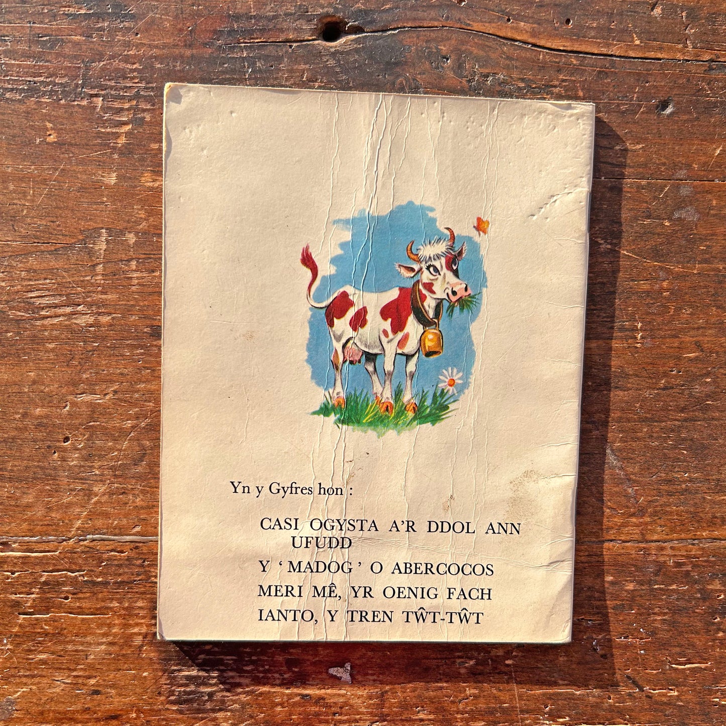 Ianto - Y Tren Twt Twt - Vintage Welsh Book (Preloved)