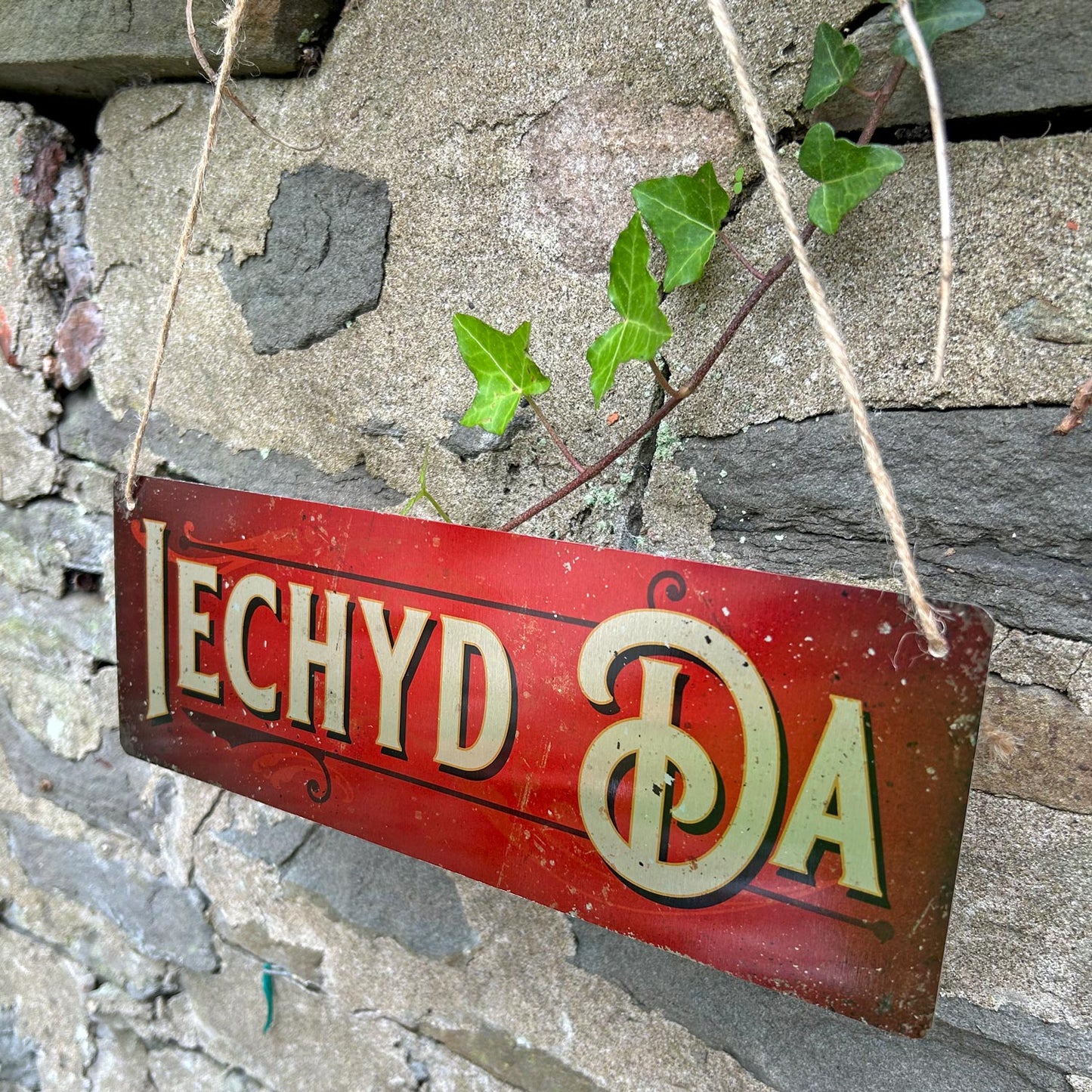 Metal Sign - Vintage Worn Look - Iechyd Da / Cheers - Red