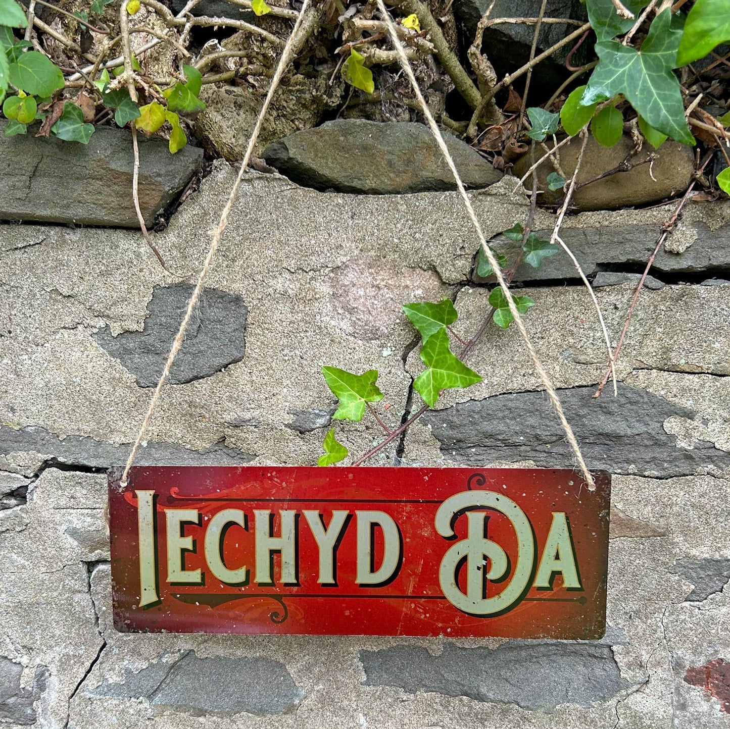 Metal Sign - Vintage Worn Look - Iechyd Da / Cheers - Red