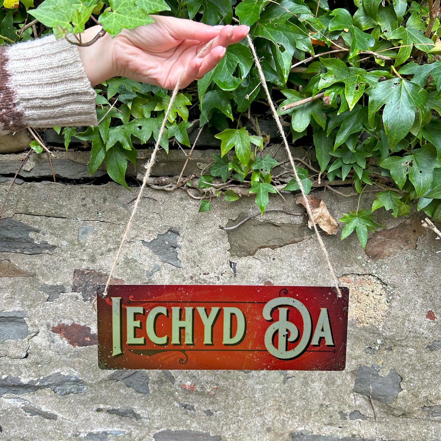 Metal Sign - Vintage Worn Look - Iechyd Da / Cheers - Red