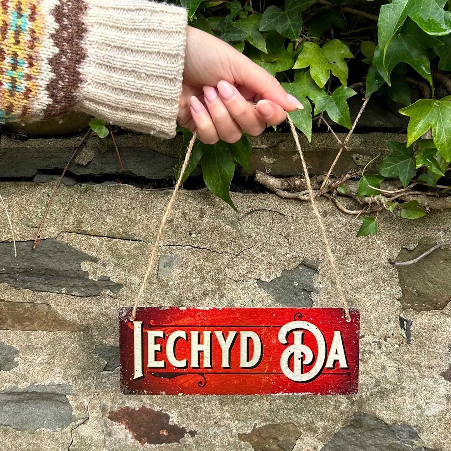 Metal Sign - Vintage Worn Look - Iechyd Da / Cheers - Red