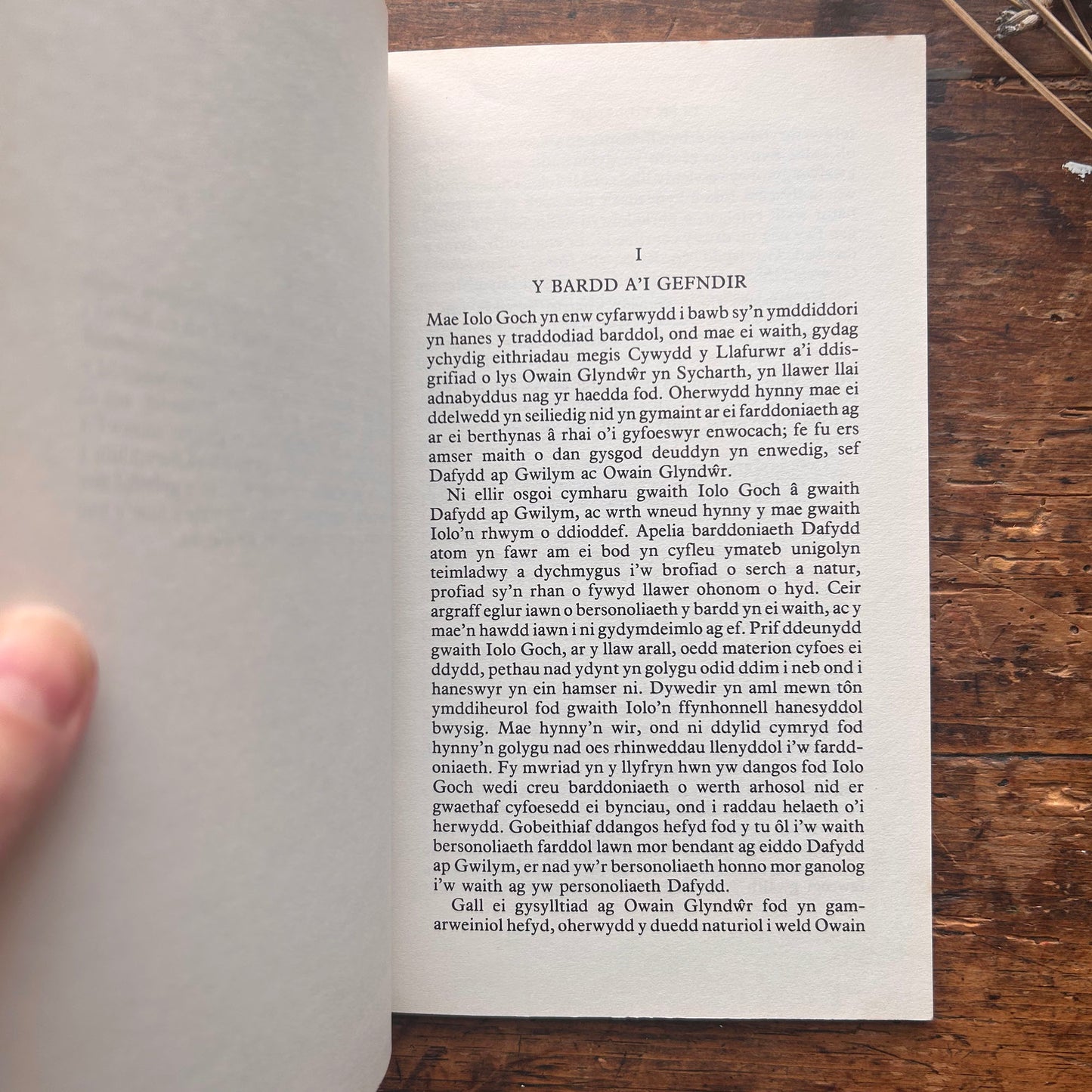 Nedw - E. Tegla Davies - Byrddau Glas - 1922 (Wedi'i ail-law)