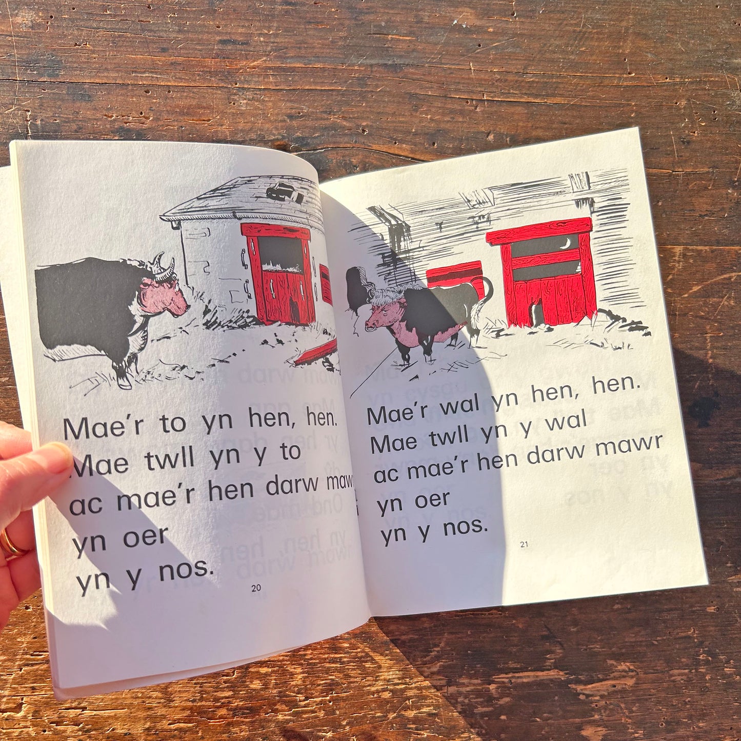 Jaci Soch - Mary Vaughan Jones (Preloved)