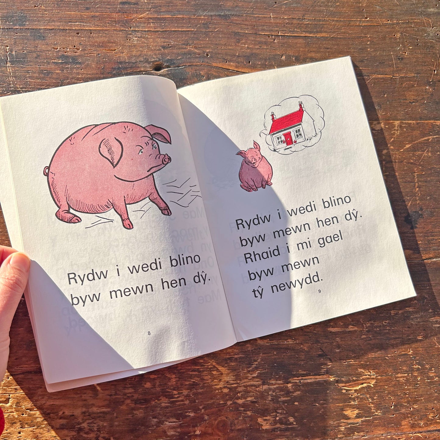 Jaci Soch - Mary Vaughan Jones (Preloved)