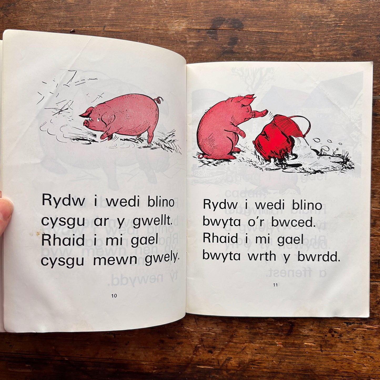 Jaci Soch - Mary Vaughan Jones - Stori 4 (Preloved)