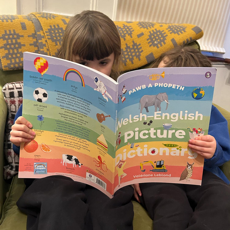 Welsh Books and Welsh Authors The Welsh Gift Shop