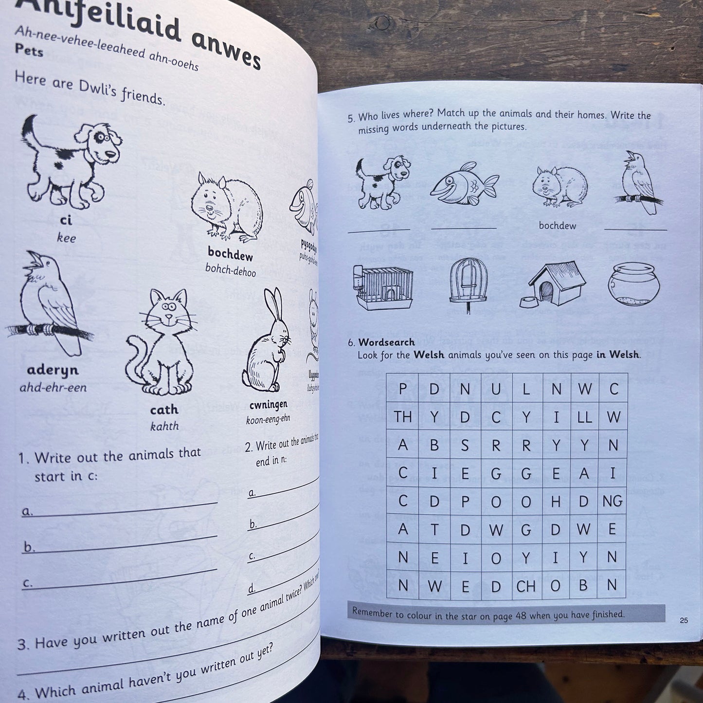 Learn Welsh / Dysgu Cymraeg - Elin Meek (Preloved)